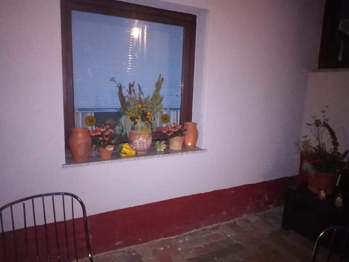Ferienhaus Badetz *