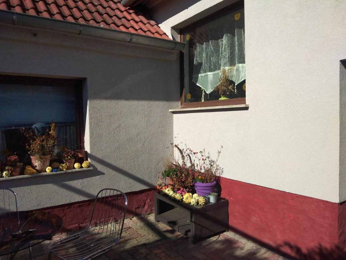 Ferienhaus Badetz Holiday home Badetz