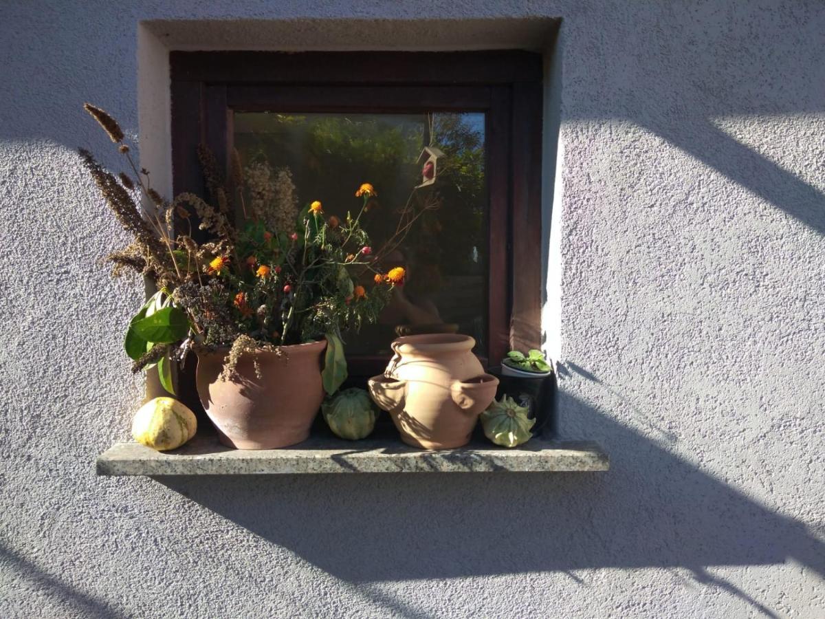 Holiday home Ferienhaus Badetz *